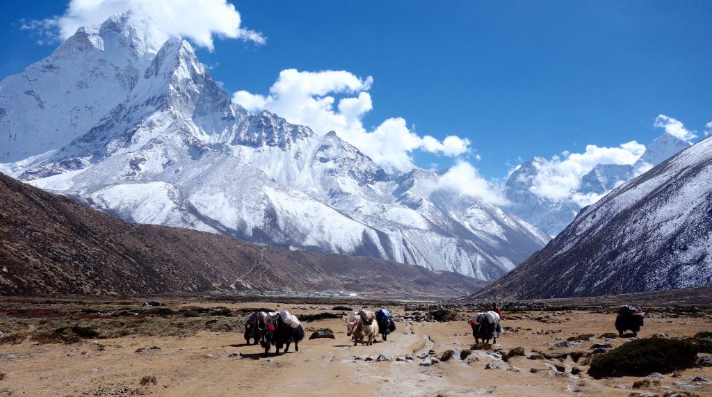 Nepal Himalayas and habitat