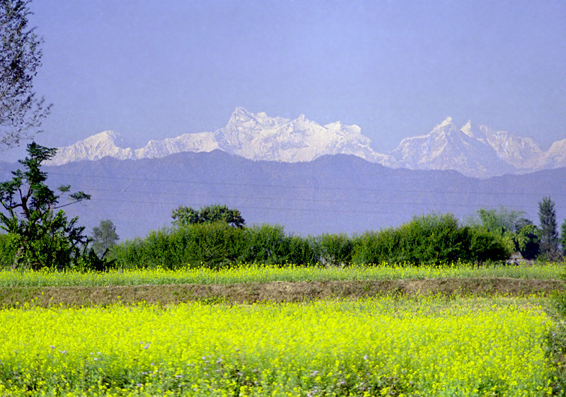 Nepal all topography in one picture