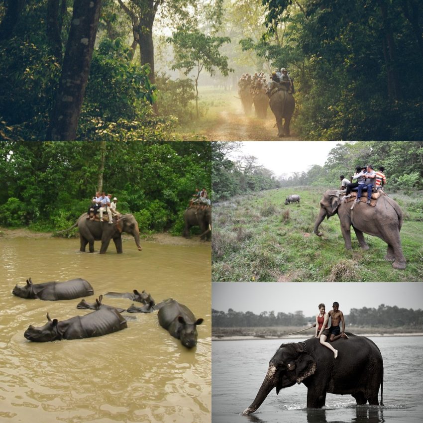 Chitwan National Park