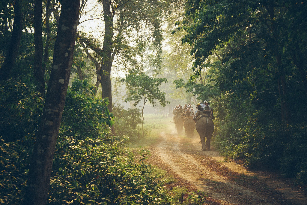 Chitwan National Park