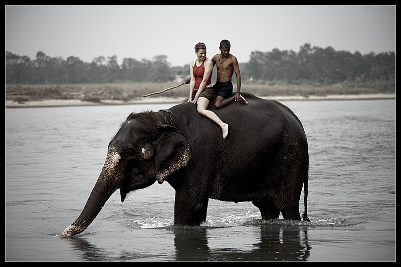 Chitwan nepal royal national park elephant ride