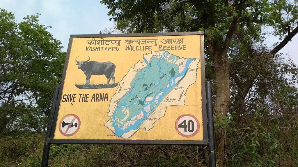 Koshi Tappu Wildlife reserve board