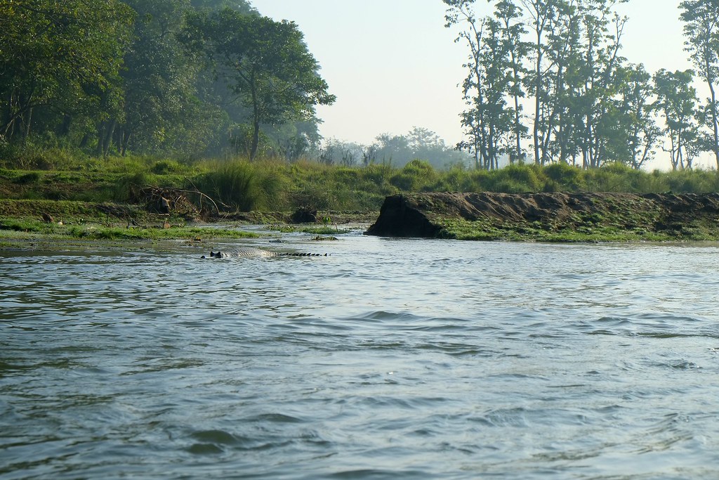 Lakes in Chitwan National Park