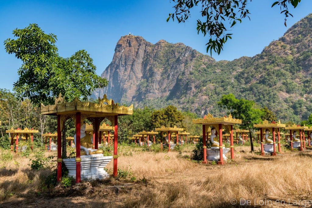 Lumbini garden