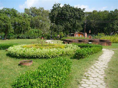 Peaceful Gardens and Reflective Ponds Lumbini Nepal