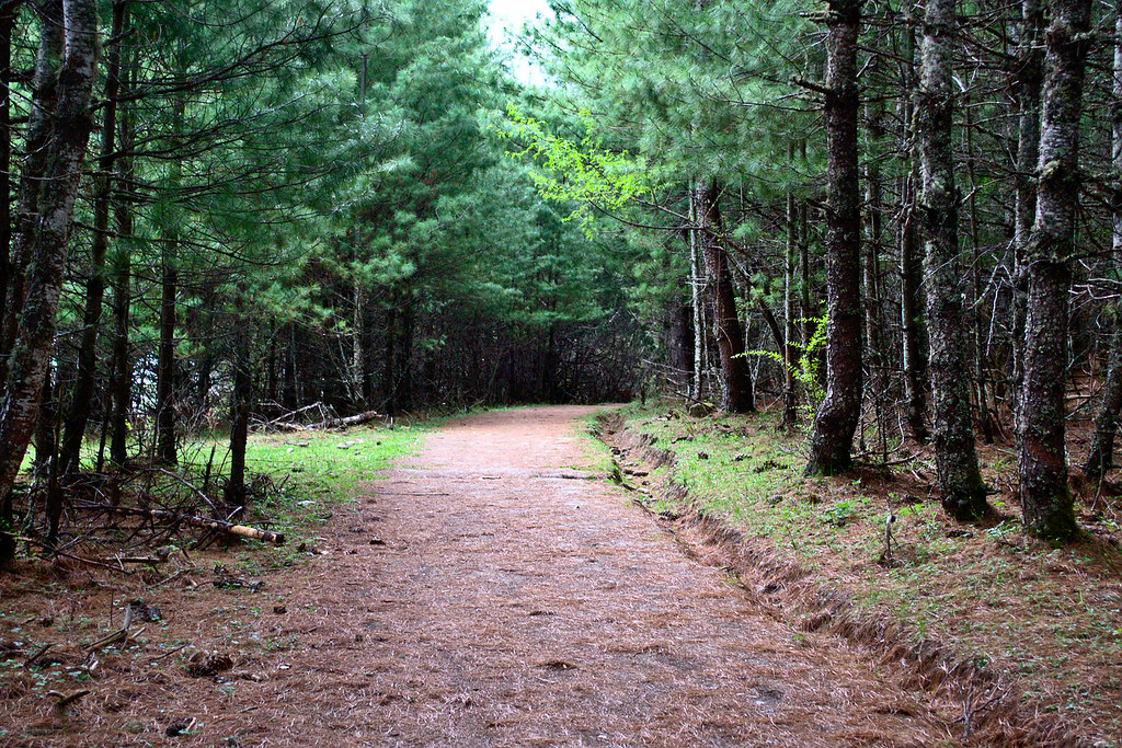 Rara National Park