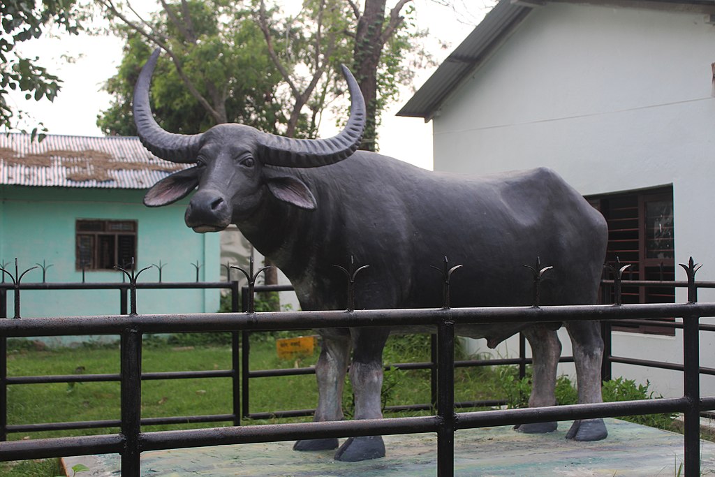 Wild_Water_Buffalo_Statue_at_Koshi_Tappu_Wildlife_Reserve